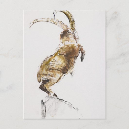 King of the Mountain 2005 Briefkaart (Voorkant)