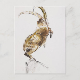 King of the Mountain 2005 Briefkaart