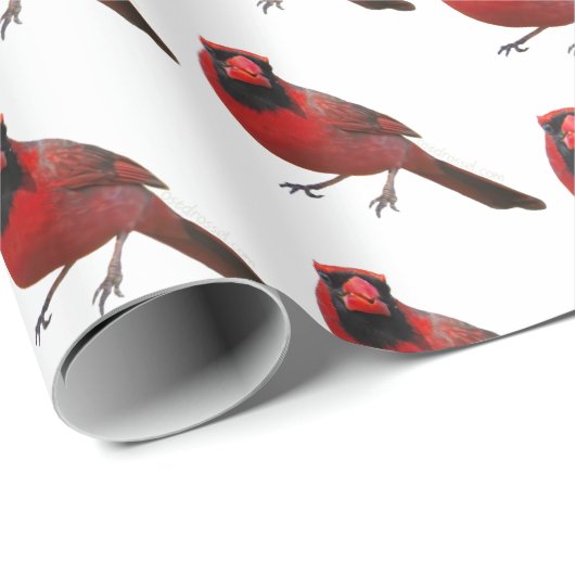 King of the Yard Wrapping Paper with Ostdrossel Cadeaupapier (Rol Hoek)