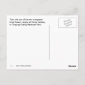 King Orangutan Tom in Camp Leakey Briefkaart (Achterkant)