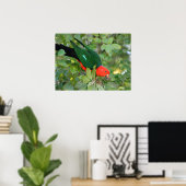 King Parrot Poster (Thuiskantoor)