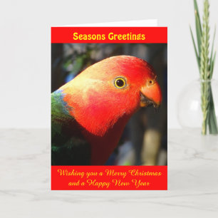 King Parrot Xmas Kaart