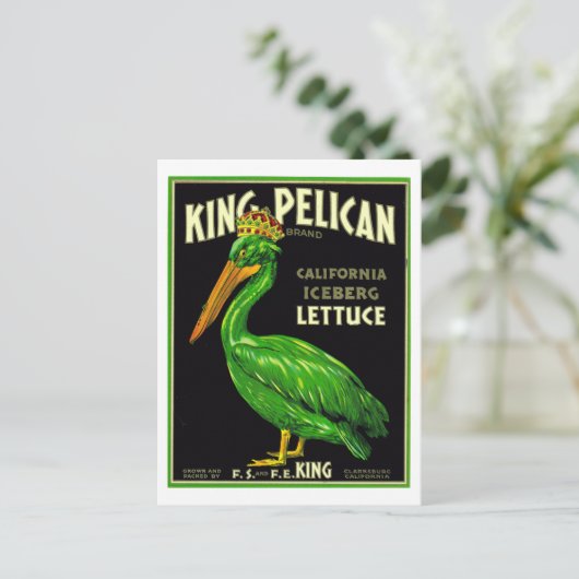 King Pelican California Sla -  productie  Briefkaart (Staand voorkant)