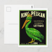 King Pelican California Sla -  productie  Briefkaart (Voorkant / Achterkant)