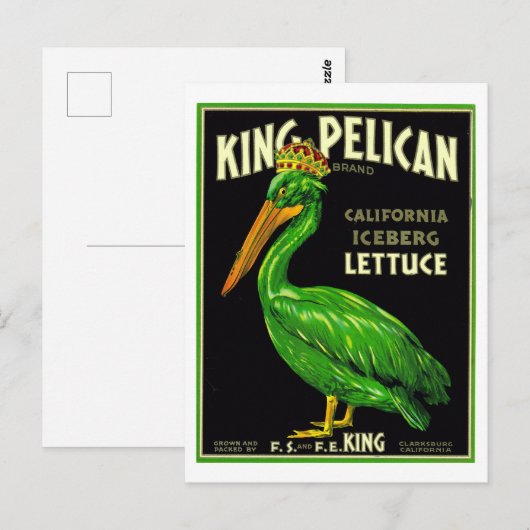 King Pelican California Sla -  productie  Briefkaart (Voorkant / Achterkant)