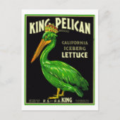 King Pelican California Sla -  productie  Briefkaart (Voorkant)