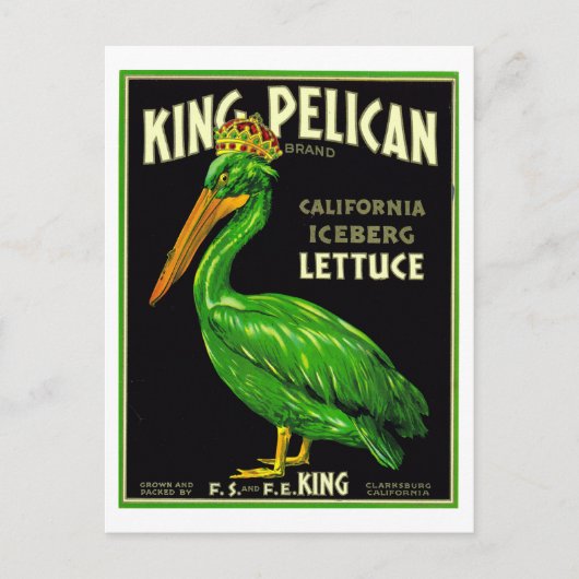 King Pelican California Sla -  productie  Briefkaart (Voorkant)