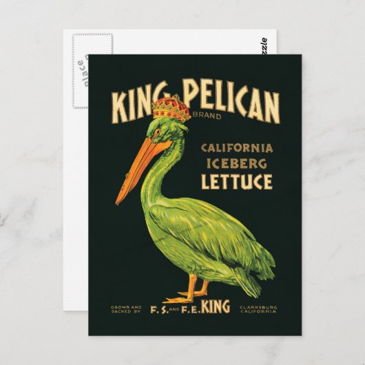 King Pelican Iceberg Briefkaart (Voorkant / Achterkant)