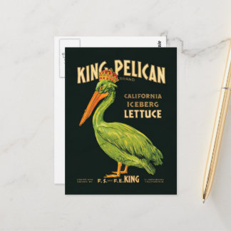 King Pelican Iceberg Briefkaart