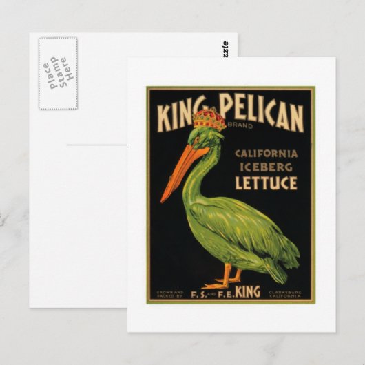 King Pelican Lettuce Briefkaart (Voorkant / Achterkant)