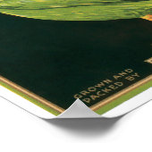 King Pelican Lettuce  Vegetable Label Poster (Hoek)