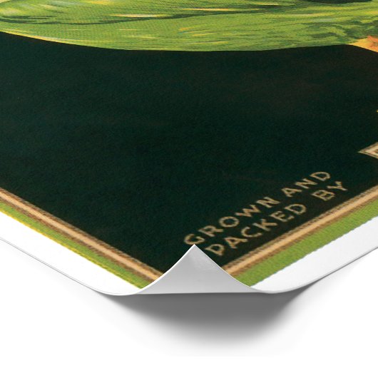 King Pelican Lettuce Vegetable Label Poster (Hoek)