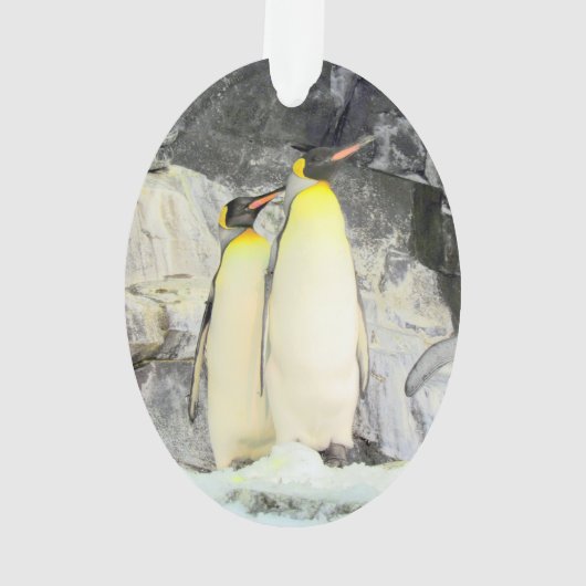 King Penguin - Acryl Ornament (achterkant)