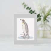 King Penguin Briefkaart (Staand voorkant)