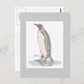 King Penguin Briefkaart (Voorkant / Achterkant)
