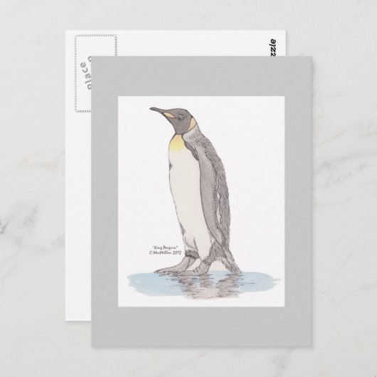 King Penguin Briefkaart (Voorkant / Achterkant)