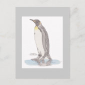 King Penguin Briefkaart (Voorkant)