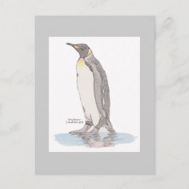 King Penguin Briefkaart