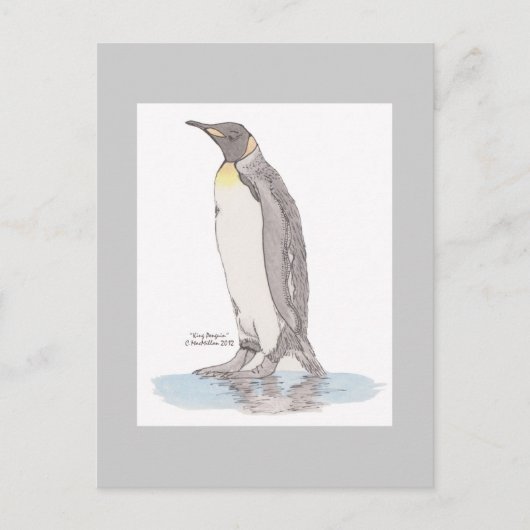 King Penguin Briefkaart (Voorkant)