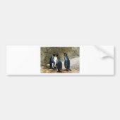 King Penguin Bumpersticker (Voorkant)