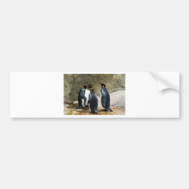 King Penguin Bumpersticker