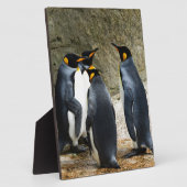 King Penguin Fotoplaat (Zijkant)