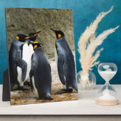 King Penguin Fotoplaat (Zijkant)