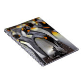 King Penguin met Chick Notitieboek (Rechterzijde)