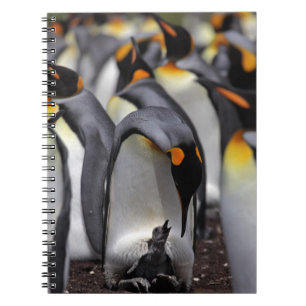 King Penguin met Chick Notitieboek