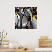 King Penguin met Chick Poster (Keuken)