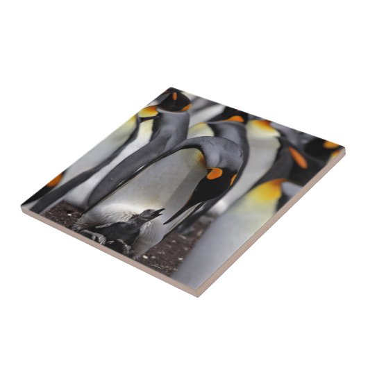King Penguin met Chick Tegeltje (Zijkant)