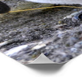 King Penguin met Egg Poster (Hoek)