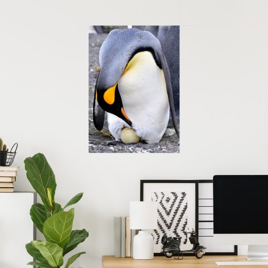 King Penguin met Egg Poster (Thuiskantoor)
