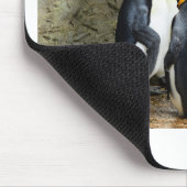King Penguin Muismat (Hoek)