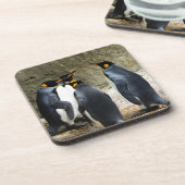 King Penguin Onderzetter (Linkerzijde)