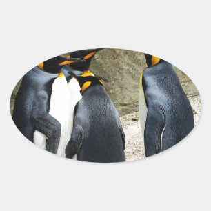 King Penguin Ovale Sticker