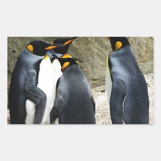 King Penguin Rechthoekige Sticker (Voorkant)
