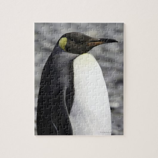 King Penguin, Salisbury Plain, Zuid-Georgië Legpuzzel (Verticaal)