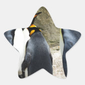 King Penguin Ster Sticker (Voorkant)