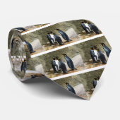 King Penguin Stropdas (Opgerold)