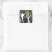 King Penguin Vierkante Sticker (Tas)