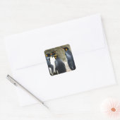 King Penguin Vierkante Sticker (Envelop)