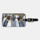 King Penguins Bagagelabel (Voorkant horizontaal)