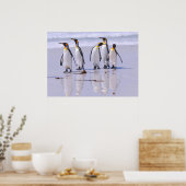 King Penguins bij Beach Poster (Keuken)