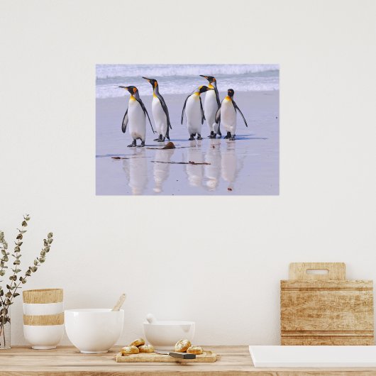 King Penguins bij Beach Poster (Keuken)