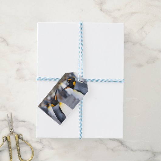 King Penguins Cadeaulabel (Met Touw)