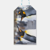 King Penguins Cadeaulabel (Achterkant)
