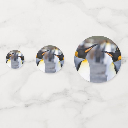 King Penguins Confetti (Achterkanten)