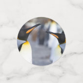 King Penguins Confetti (Kleine voorkant)