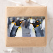 King Penguins Etiket (Insitu)